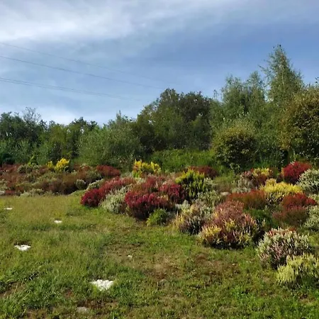 Сasa de vacaciones Maison Le Thillot