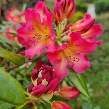 Semesterbostad Stonecasa *