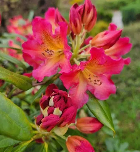 Semesterbostad Stonecasa *